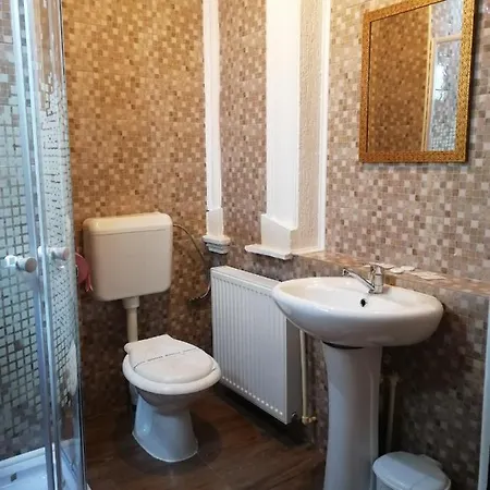 Guest house Casa Teilor