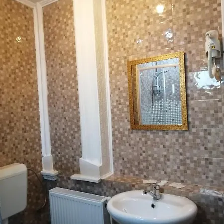 Guest house Casa Teilor Pitesti